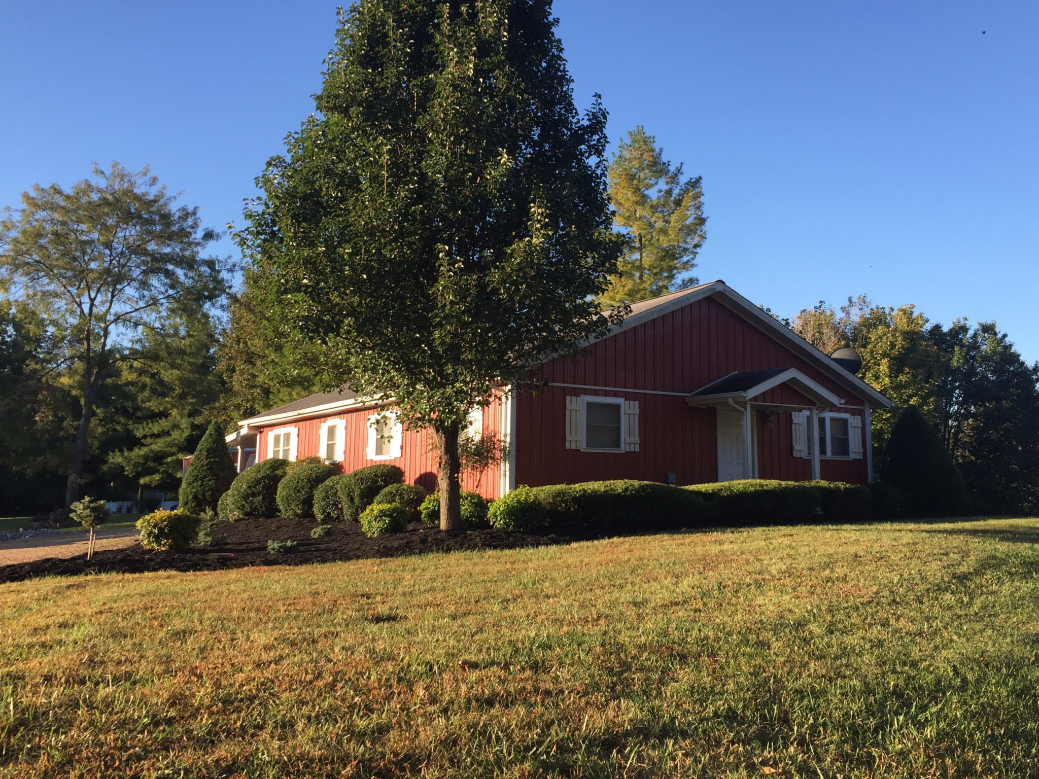 Check Out The Little Red Shed Woodland Cabins