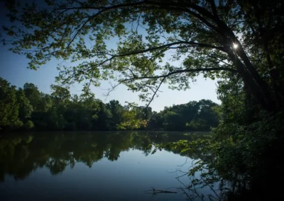 woodland-cabins-best-lake-view