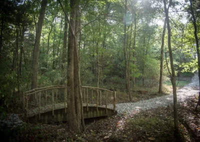 woodland-cabins-calming-route