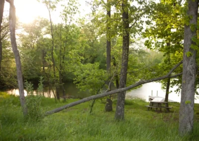 woodland-cabins-forest-lake-best-view