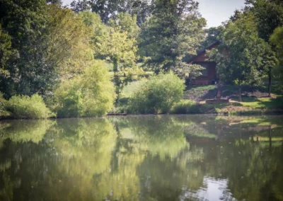 woodland-lake-and-cabin-view