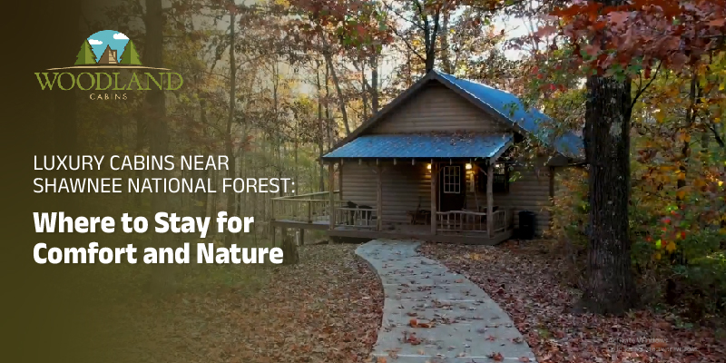 Luxury Cabins Near Shawnee National Forest: Where to Stay for Comfort and Nature