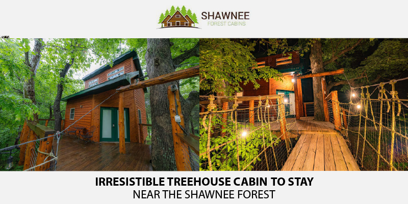 Irresistible Treehouse Cabin to Stay Near The Shawnee Forest