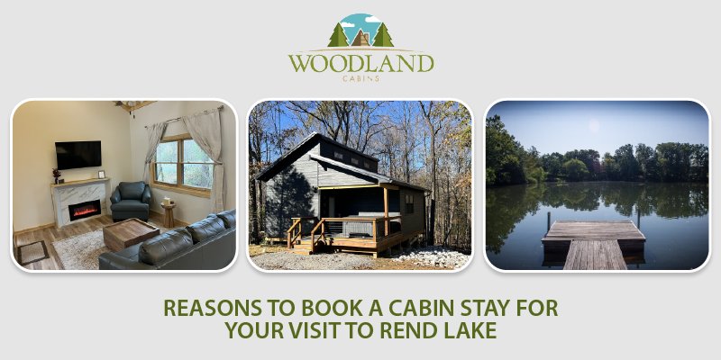 Reasons to Book a Cabin Stay for Your Visit to Rend Lake