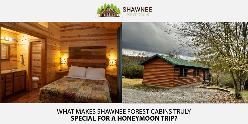 What makes Shawnee Forest Cabins truly special for a honeymoon trip?