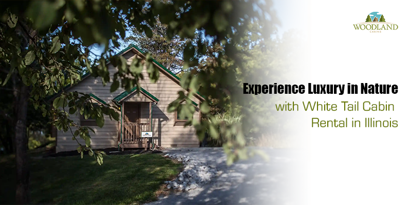 Experience Luxury in Nature with White Tail Cabin Rental in Illinois