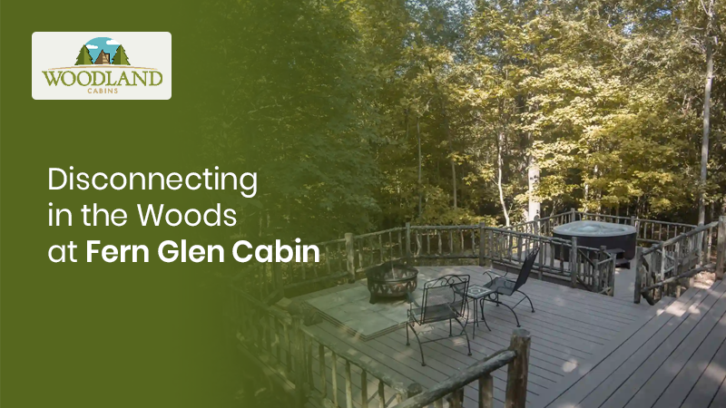 Disconnecting in the Woods at Fern Glen Cabin